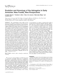 Evolution and Homology of the Astragalus in Early Amniotes: New Fossils, New Perspectives