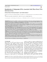 Identification of Subgenomic Dnas Associated with Wheat Dwarf Virus Infection in Iran Mohamad Hamed Ghodoum Parizipour1, Amir Ghaffar Shahriari2*