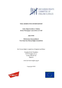 Trial Observation Interim Report