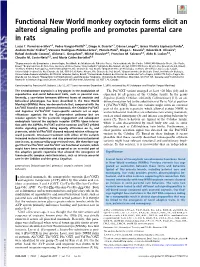 Functional New World Monkey Oxytocin Forms Elicit an Altered Signaling Profile and Promotes Parental Care in Rats