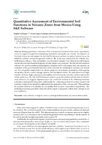 Quantitative Assessment of Environmental Soil Functions in Volcanic Zones from Mexico Using S&E Software
