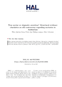 True Nectar Or Stigmatic Secretion?