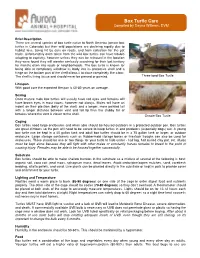 Box Turtle Care Compiled by Dayna Willems, DVM