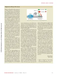 Epigenome Editing to the Rescue