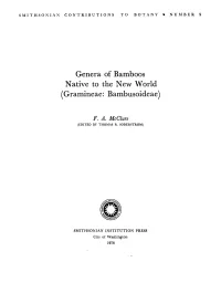 Genera of Bamboos Native to the New World (Gramineae: Bambusoideae)