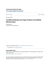 Microrna Identification and Target Prediction in the Whitefly (Bemisia Tabaci)