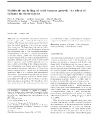 Multiscale Modelling of Solid Tumour Growth: the Effect of Collagen