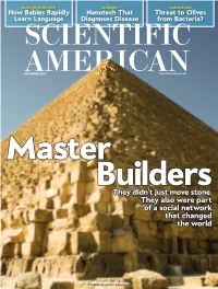 They Didn't Just Move Stone. They Also Were Part of a Social Network That