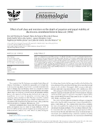 Effect of Soil Class and Moisture on the Depth of Pupation and Pupal Viability of Bactrocera Carambolae Drew & Hancock (1994)