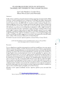 Elasmobranch Bycatch on Artisanal Trammel Net Fishery in the Canary