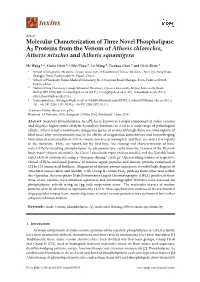 Molecular Characterization of Three Novel Phospholipase A2 Proteins from the Venom of Atheris Chlorechis, Atheris Nitschei and Atheris Squamigera