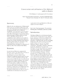 Conservation and Utilisation of the Sahiwal Cattle in Kenya