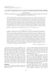 On the Uniqueness of Color Patterns in Raptor Feathers