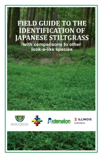 Field Guide to the Identification of Japanese Stiltgrass: with Comparisons to Other Look-A-Like Species