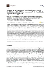 How Do Newly-Amended Biochar Particles Affect Erodibility and Soil Water Movement?—A Small-Scale Experimental Approach