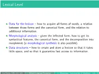 Lexical Level