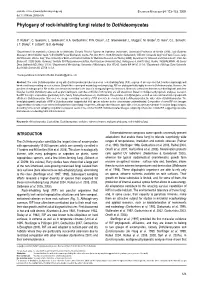 Phylogeny of Rock-Inhabiting Fungi Related to Dothideomycetes