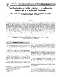 Rapid Detection and Differentiation of Mycobacterial Species Using a Multiplex PCR System
