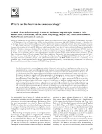 What's on the Horizon for Macroecology?