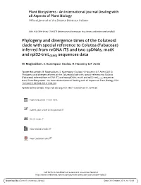 Fabaceae) Inferred from Nrdna ITS and Two Cpdnas, Matk and Rpl32-Trnl(UAG) Sequences Data