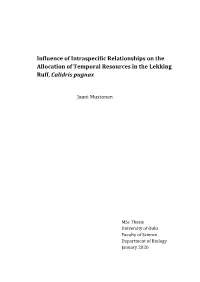 Influence of Intraspecific Relationships on the Allocation of Temporal Resources in the Lekking Ruff, Calidris Pugnax