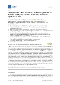 Ionocytes and CFTR Chloride Channel Expression in Normal and Cystic Fibrosis Nasal and Bronchial Epithelial Cells