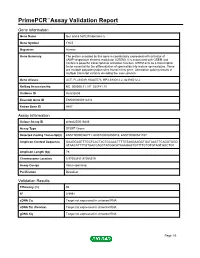 Primepcr™Assay Validation Report