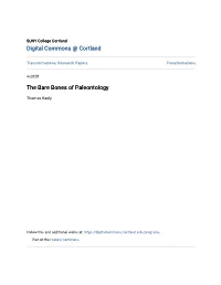The Bare Bones of Paleontology