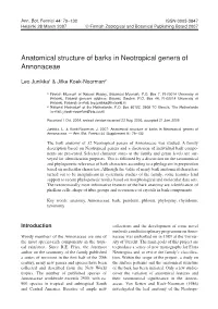 Anatomical Structure of Barks in Neotropical Genera of Annonaceae