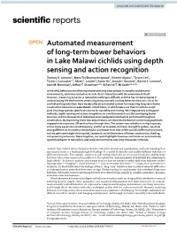 Automated Measurement of Long-Term Bower Behaviors in Lake Malawi