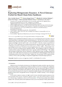 Exploring Metagenomic Enzymes: a Novel Esterase Useful for Short-Chain Ester Synthesis