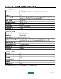 Primepcr™Assay Validation Report