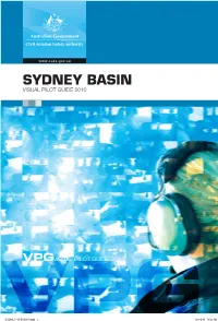 Visual Pilot Guide 2010