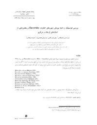 Article 515810 C7ae12f0ffb4af9