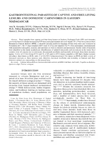 Gastrointestinal Parasites of Captive and Free-Living Lemurs and Domestic Carnivores in Eastern Madagascar