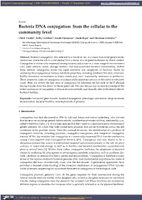 Bacteria DNA Conjugation: from the Cellular to the Community Level