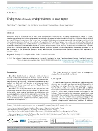Endogenous Brucella Endophthalmitis: a Case Report