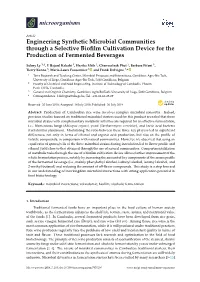 Engineering Synthetic Microbial Communities Through a Selective Bioﬁlm Cultivation Device for the Production of Fermented Beverages