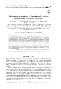 Phylogenetic Relationships of Eurasian and American Cyprinids Using Cytochrome B Sequences
