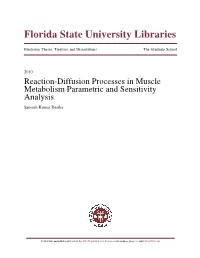 Reaction-Diffusion Processes in Muscle Metabolism Parametric and Sensitivity Analysis Santosh Kumar Dasika