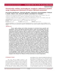 Chondroitin Sulfate Proteoglycan Serglycin Influences Protein Cargo Loading and Functions of Tumor-Derived Exosomes