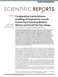 Comparative Transcriptome Profiling of Longissimus Muscle Tissues From