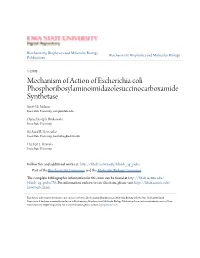 Mechanism of Action of Escherichia Coli Phosphoribosylaminoimidazolesuccinocarboxamide Synthetase Scott .W Nelson Iowa State University, Swn@Iastate.Edu