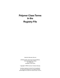 Polymer Class Terms in the Registry File