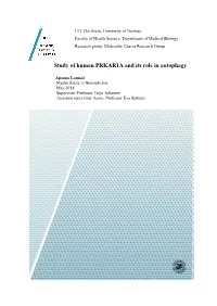 Study of Human PRKAR1A and Its Role in Autophagy
