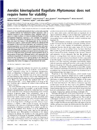 Aerobic Kinetoplastid Flagellate Phytomonas Does Not Require Heme