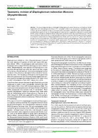 &lt;I&gt;Elaphoglossum&lt;/I&gt; Subsection