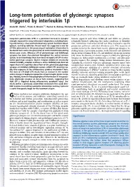 Long-Term Potentiation of Glycinergic Synapses Triggered by Interleukin 1Β