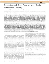Speciation and Gene Flow Between Snails of Opposite Chirality