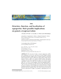 Structure, Function, and Localization of Aquaporins: Their Possible Implications on Gamete Cryopreservation